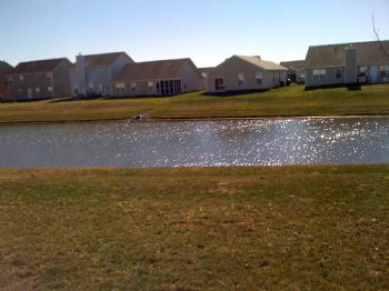 PurdueSweets profile photo