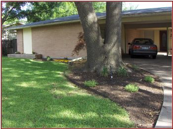 utdroomate profile photo