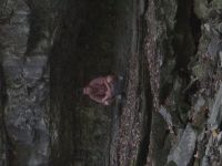 brian2f2f profile photo