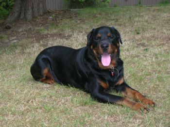 MandiM profile photo