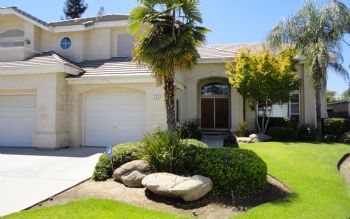 perk0911 profile photo