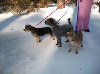 sunnyjlc profile photo