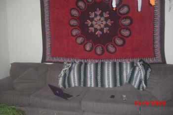 mla5081 profile photo