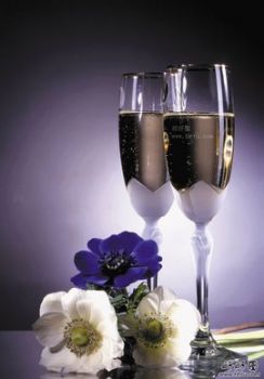 kasken profile photo