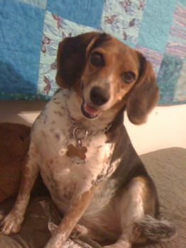 Kirsten111 profile photo