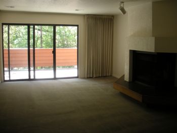 moginator profile photo