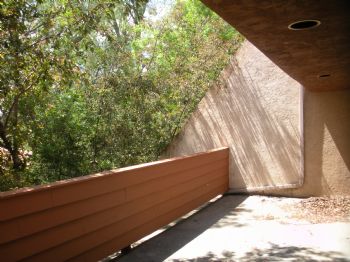 moginator profile photo