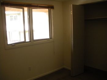 moginator profile photo