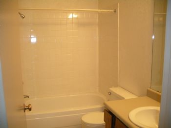 moginator profile photo