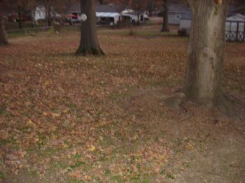 itsmejeremyt profile photo