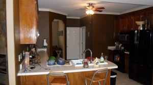 talifrog profile photo