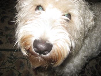 KAEYKO1978 profile photo