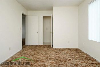 coneyka profile photo