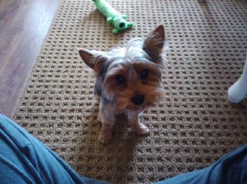 emchaos711 profile photo