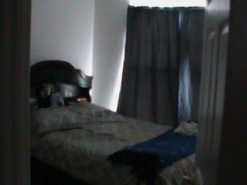 hwendi profile photo