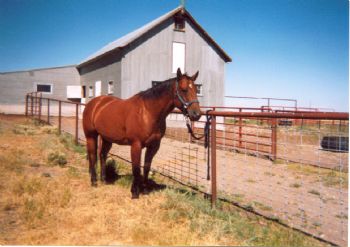 jackbsprat profile photo