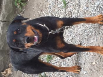 Luke34 profile photo