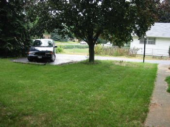 nwelch profile photo