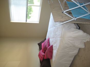 arduenser profile photo