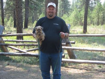taz1ford profile photo
