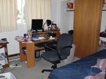 shauvoo profile photo