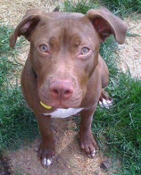 heather90 profile photo