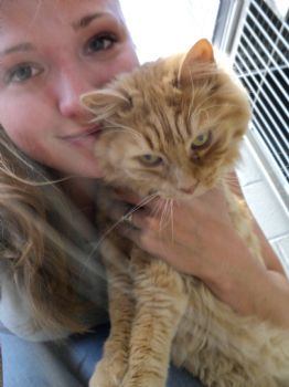 llatkinson66 profile photo