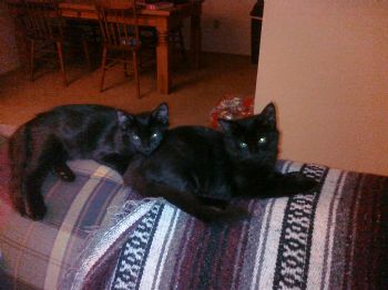 Angie21890 profile photo