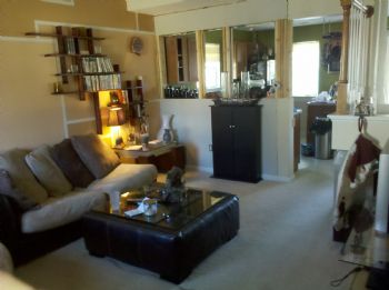 mattlegetcha profile photo