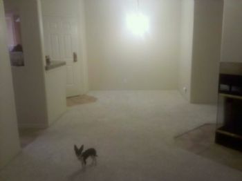 ChristinVega profile photo