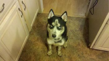 bsebalplaya profile photo