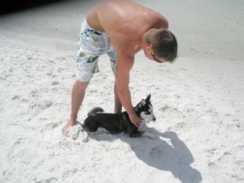 bsebalplaya profile photo