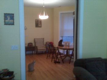 bambri profile photo