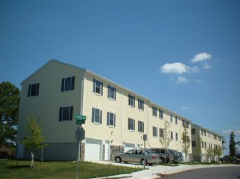 lpignata profile photo