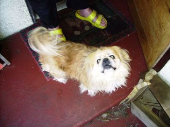 OLDER MOM profile photo