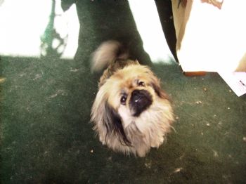 OLDER MOM profile photo