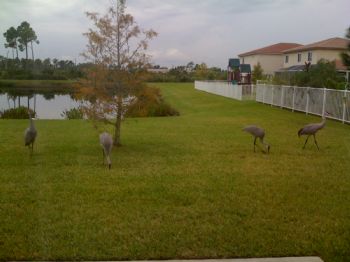 Willy44 profile photo