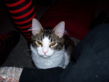 Ally_W profile photo