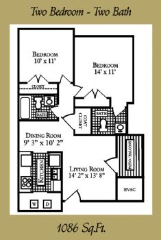 afshotymesmf profile photo