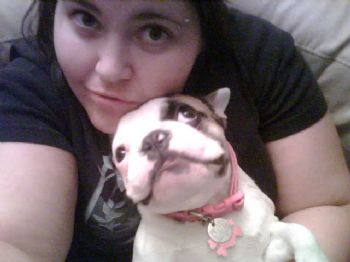 Dangerkittie profile photo