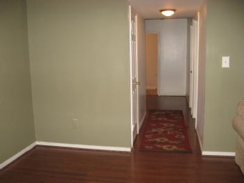 cannolia profile photo