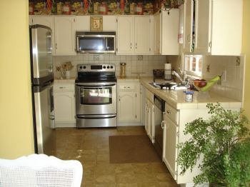 cannolia profile photo