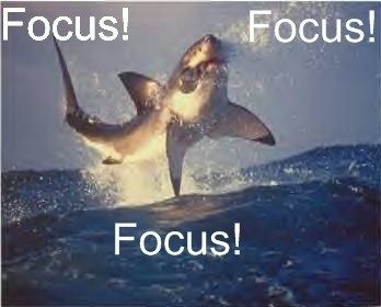 Grateful Al profile photo