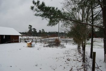 skywarpnc profile photo