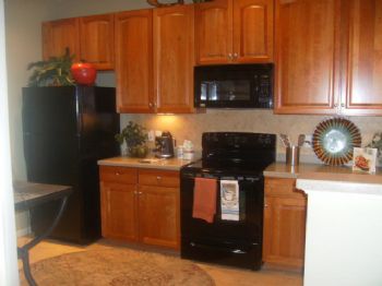 puppylove82 profile photo