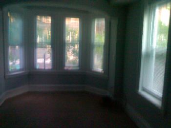 ibthemc profile photo