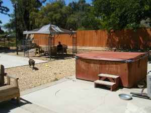 msnikki731 profile photo