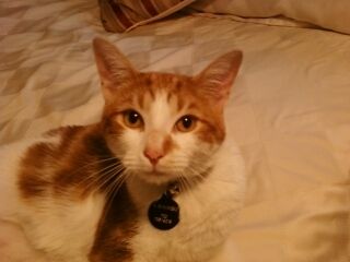 lisarunner61 profile photo