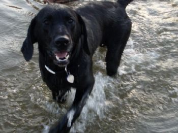 rramsey05 profile photo