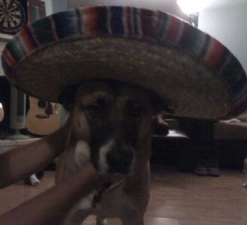 j.d.kent profile photo